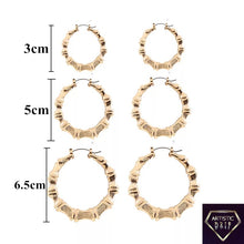 Load image into Gallery viewer, 3 pair Bamboo earrings round
